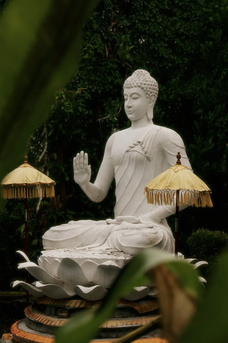 Surf & Yoga Retreats